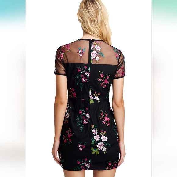 NEW Embroidered Mini Dress, S, black floral, mesh, lined, zip up, formal, sheer - Picture 3 of 16
